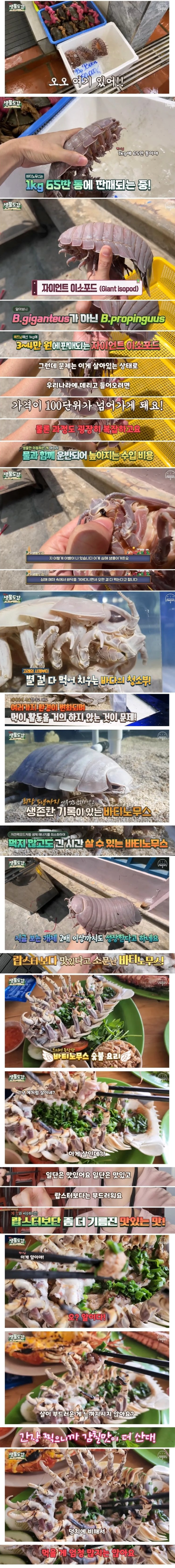 의외로 맛있다고 소문난 심해 생명체