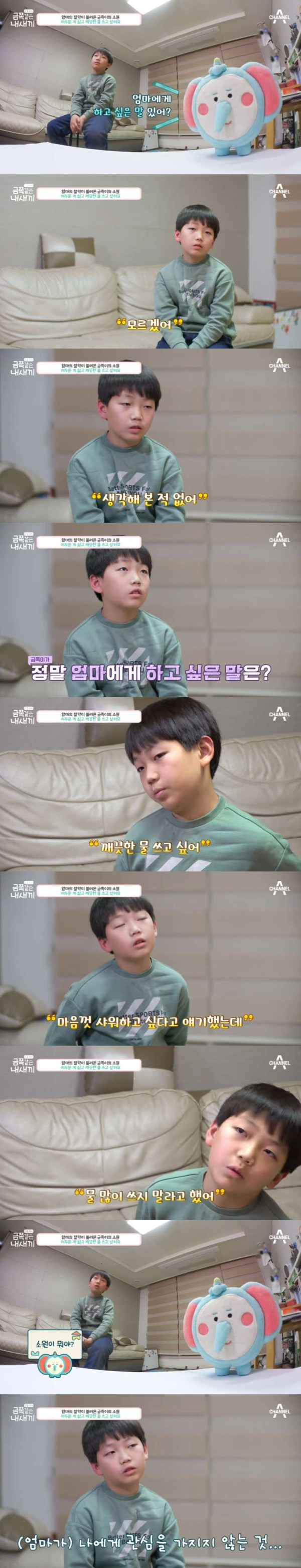 오은영 박사가 애들 솔루션 포기한 이번주 금쪽이