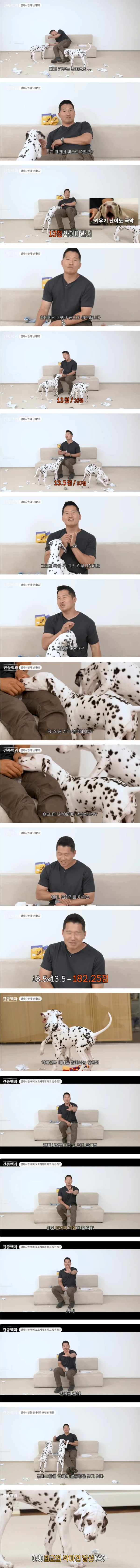 개통령도 키우지 말라고 하는 악마견