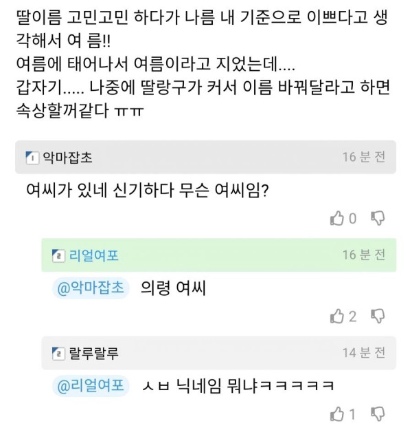 딸이 여름에태어나서 여름이라고 지음