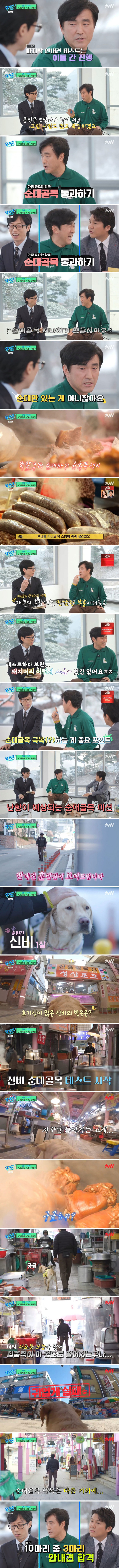 안내견들이 마지막으로 받는다는 테스트