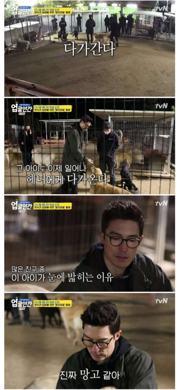 다니엘 헤니 근황