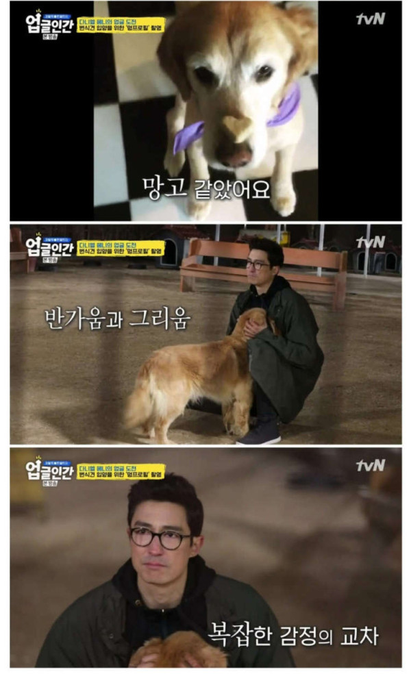 다니엘 헤니 근황