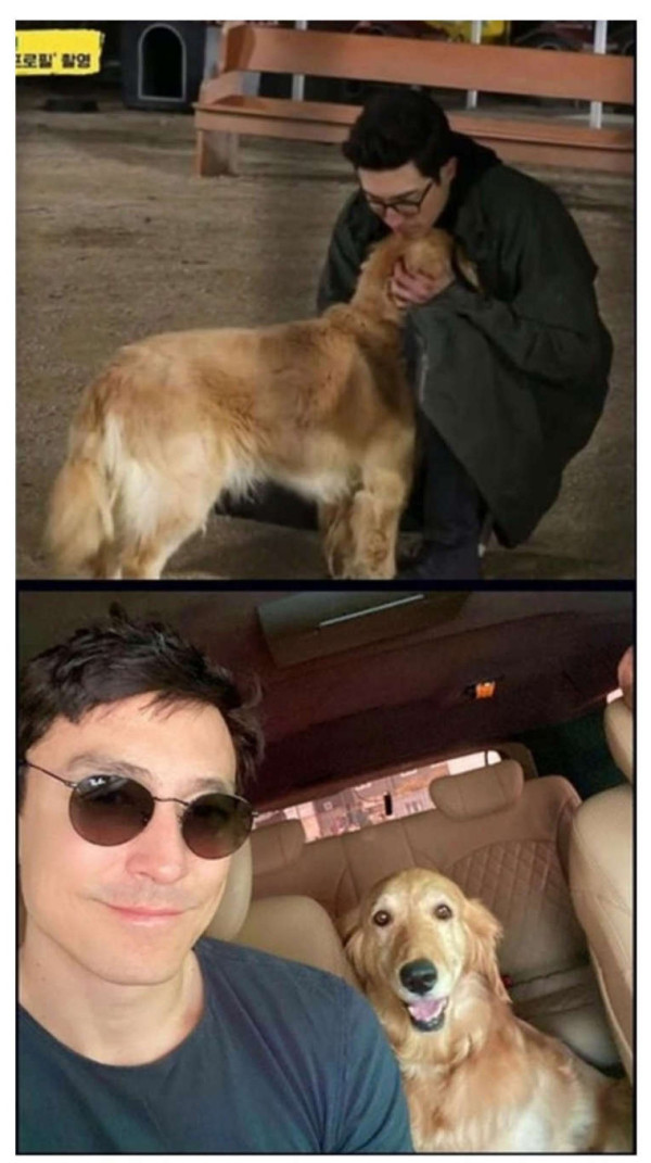 다니엘 헤니 근황