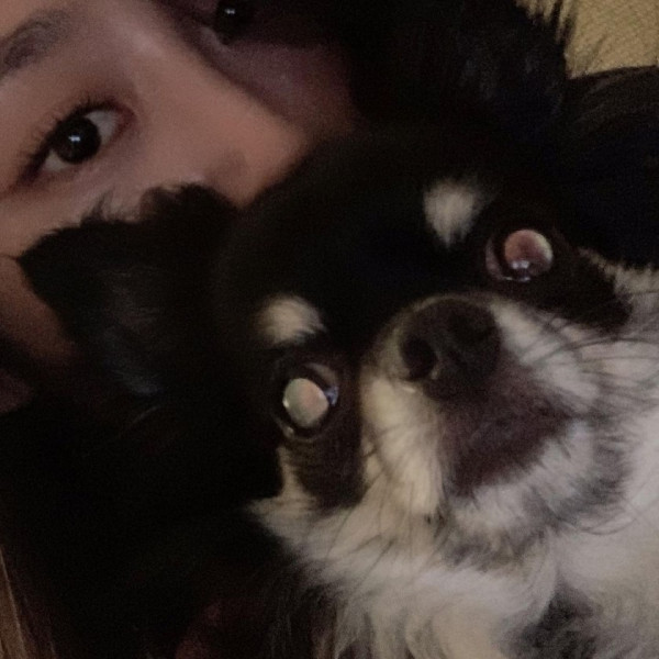 오늘자 지수 인스타