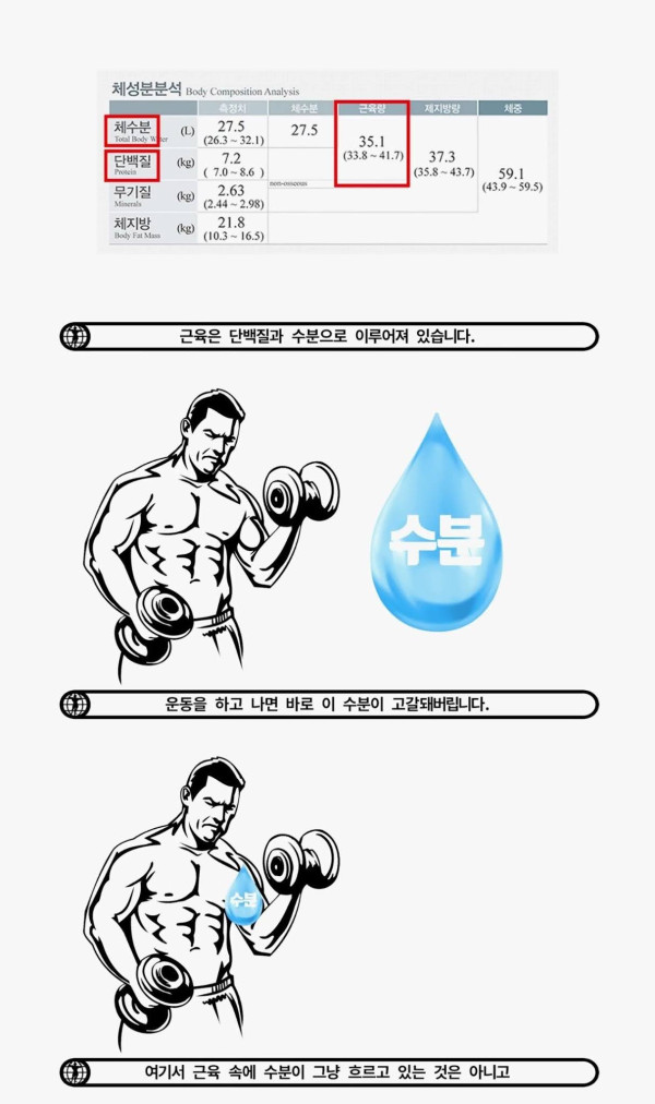 운동 후 꼭 섭취해야 하는 식품