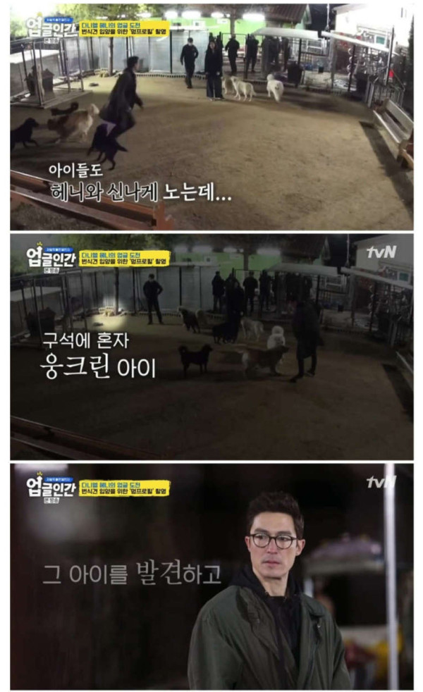 다니엘 헤니 근황