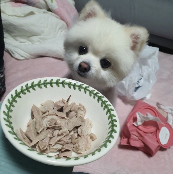 어느 참치 가게 사장님의 기막힌 마케팅