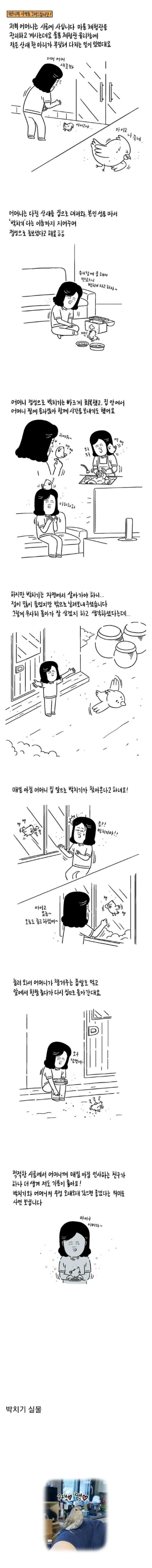쓰러져있는 새를 발견한 어머니