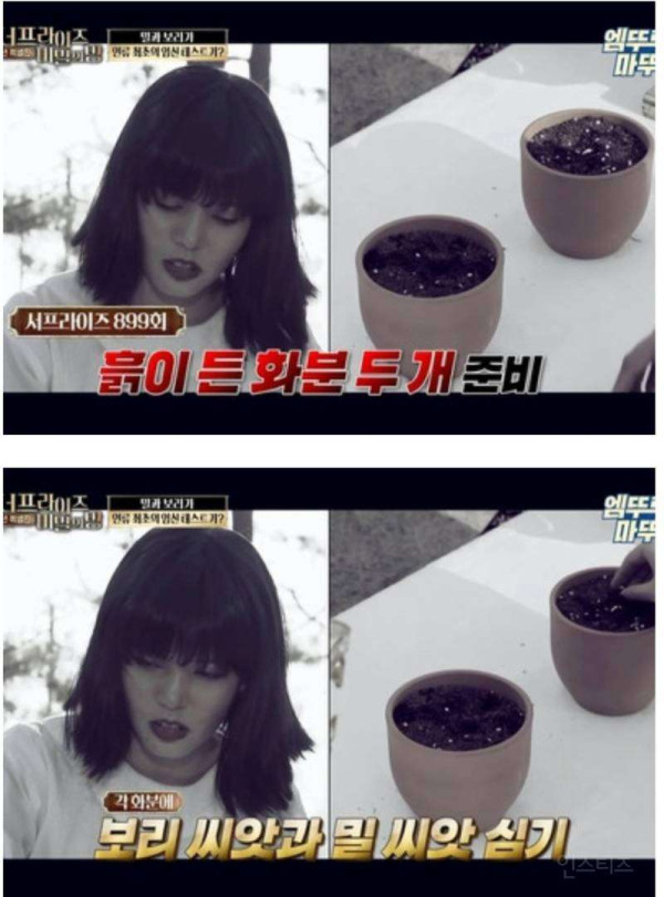 인류 최초 임신테스트기