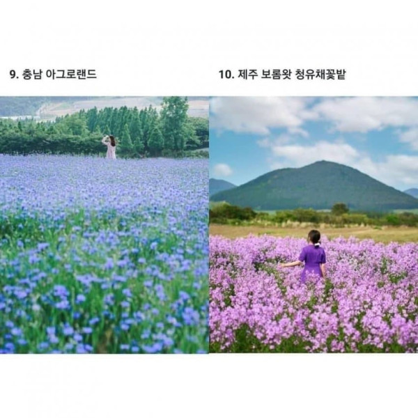 한국관광공사 추천 국내여행지