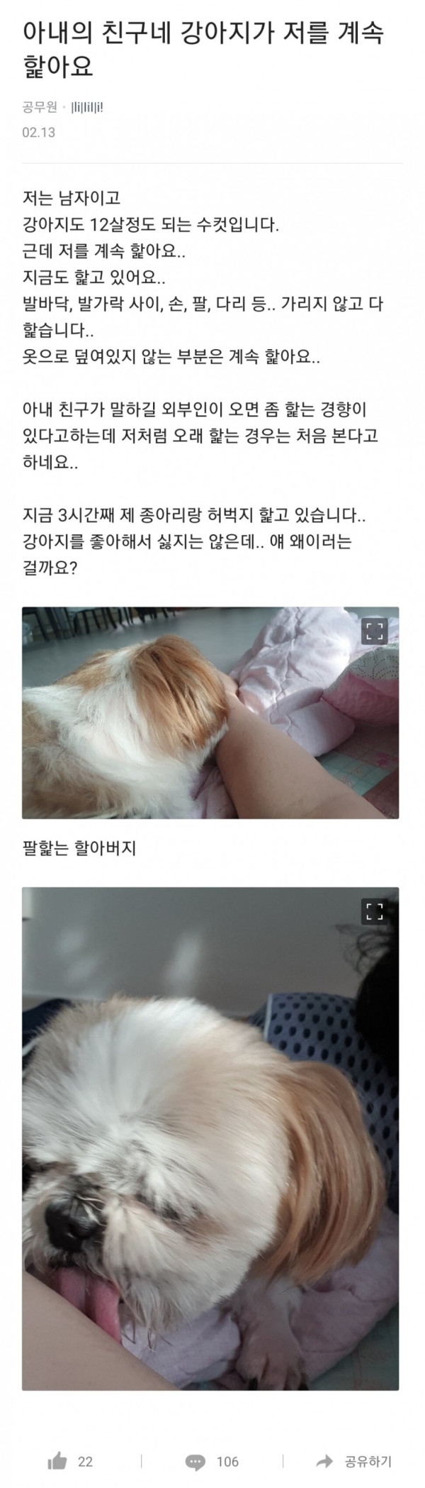 아내의 친구 강아지가 저를 자꾸 핥아요
