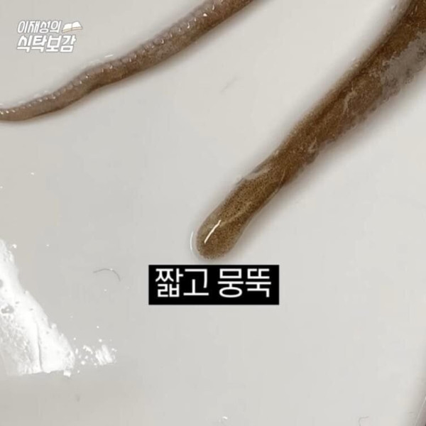 충격적인 낙지의  비밀