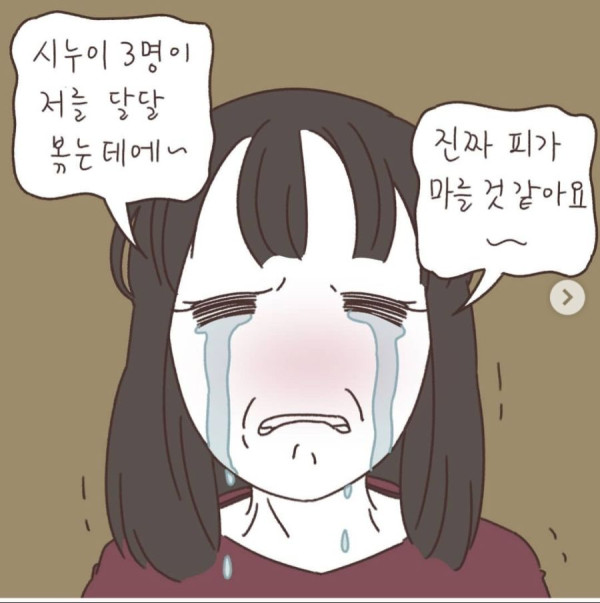시누이들이 자꾸 달달볶아서 이혼하려고요ㅠㅠ