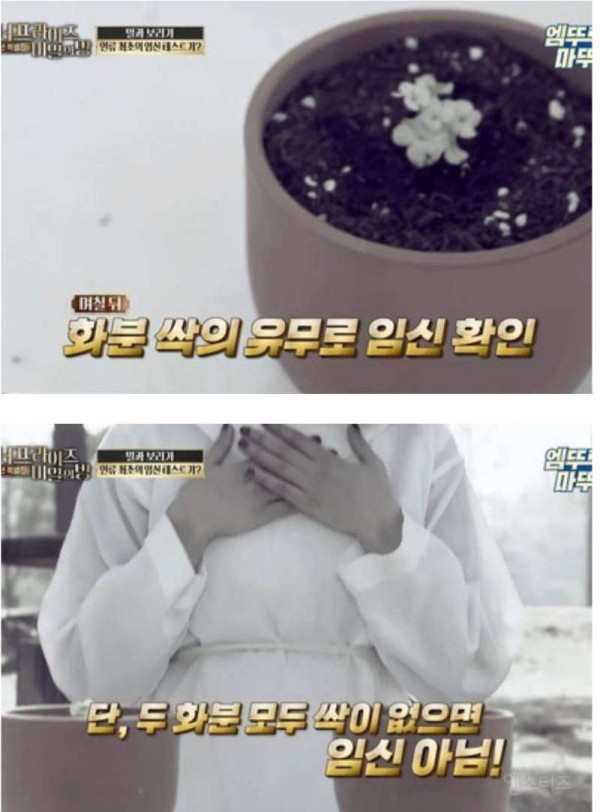 인류 최초 임신테스트기