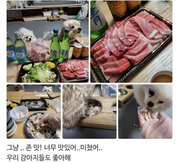 어느 참치 가게 사장님의 기막힌 마케팅