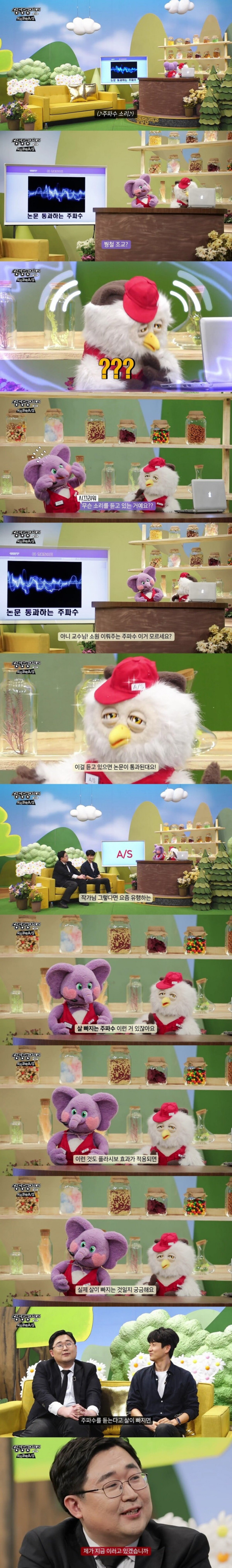 요새 논란중인 살빠지는 주파수