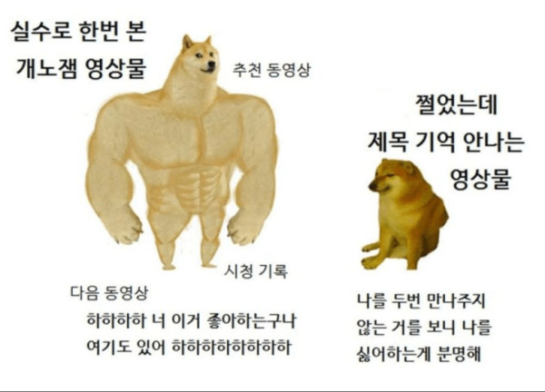 유튜브 알고리즘의 특징