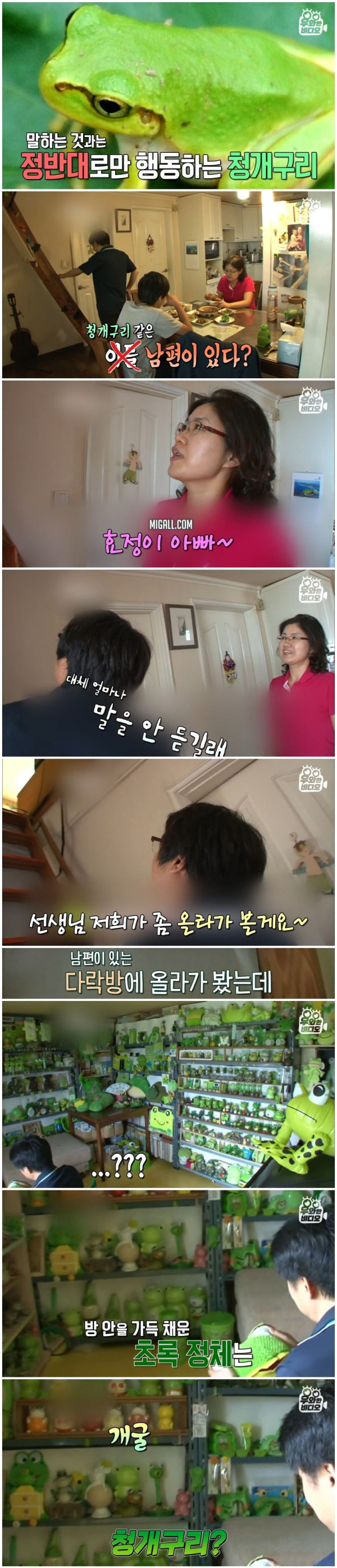 개구리 매니아 ㄷㄷ