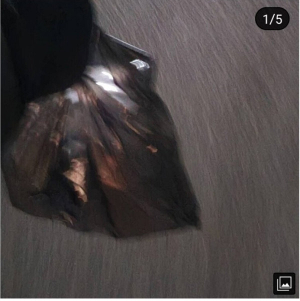 통닭 사온줄 알았던 따님