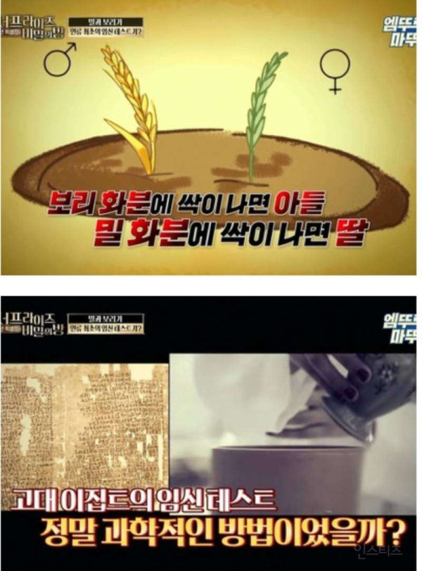 인류 최초 임신테스트기