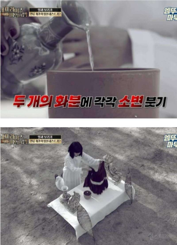인류 최초 임신테스트기