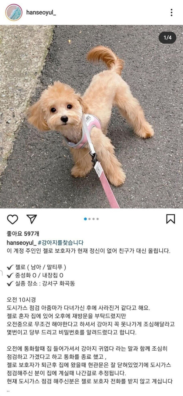 가스검침원 강아지 실종 사건 결말