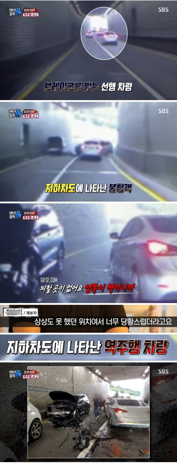 지하차도에 나타난 불청객