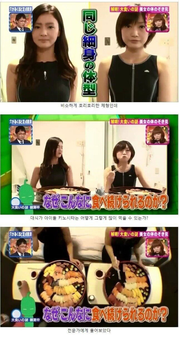 대식가와 일반인의 신체적 차이