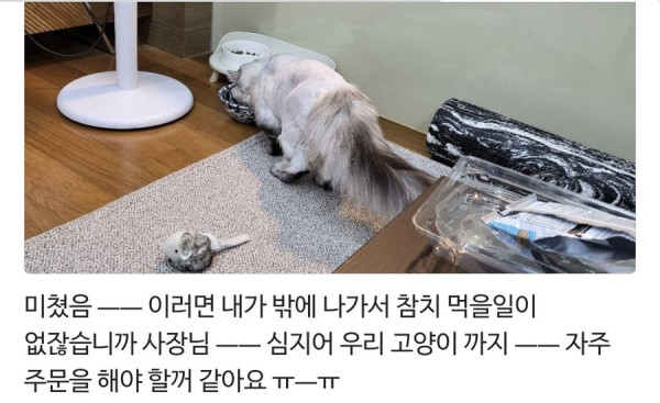 어느 참치 가게 사장님의 기막힌 마케팅