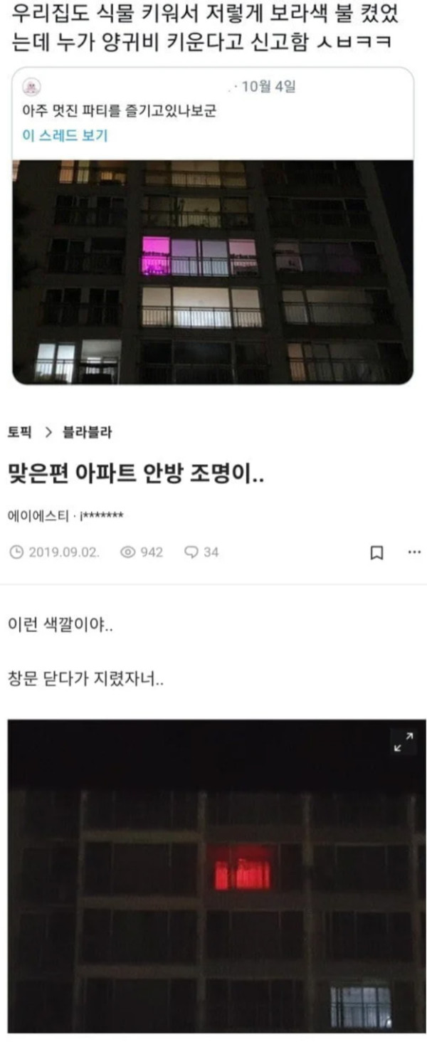 비 오는 날 바빠진다는 식물 덕후들
