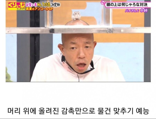일본의 흔한 예능