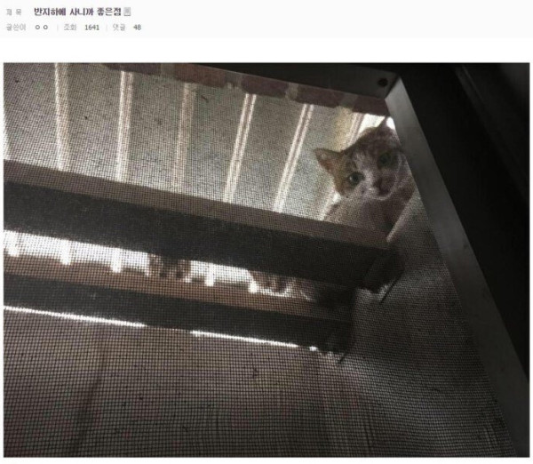 반지하에 사니까 좋은점