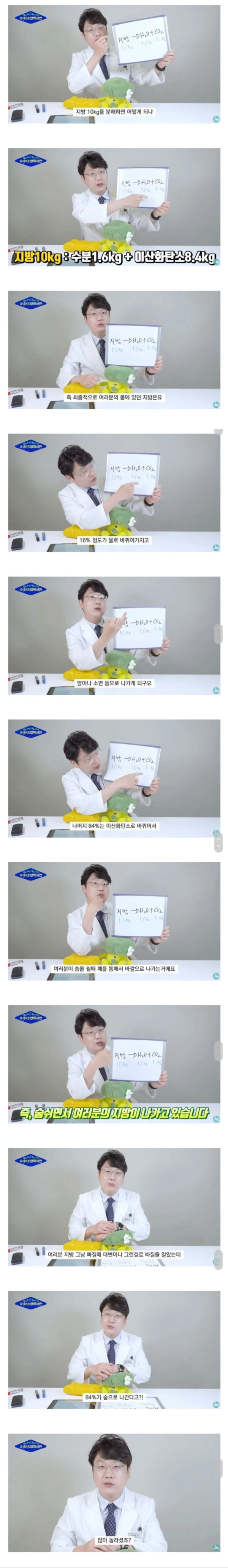 살이 빠지는 원리