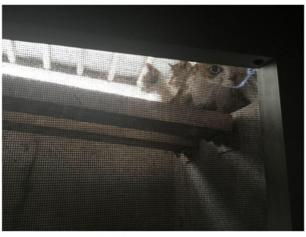 반지하에 사니까 좋은점