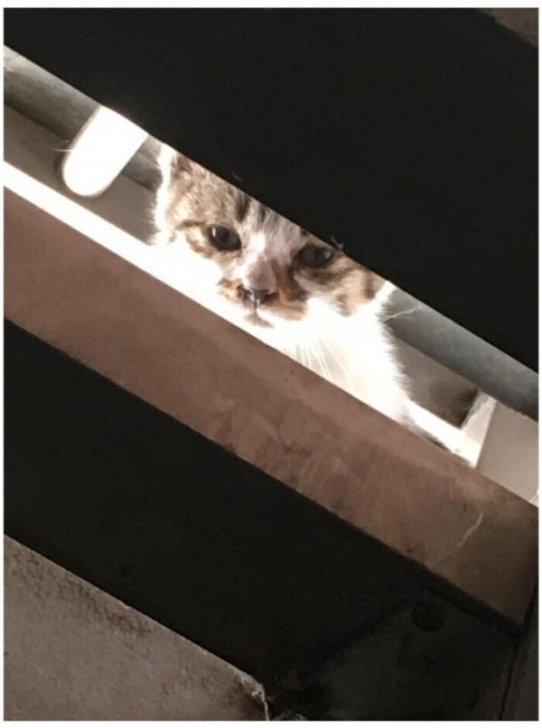 반지하에 사니까 좋은점