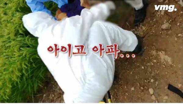 실종된 치매 할머니 구한 반려견