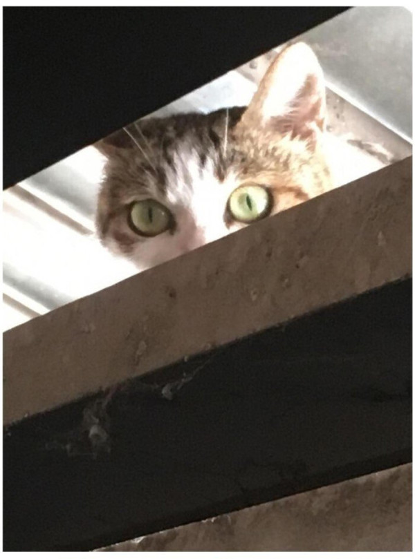 반지하에 사니까 좋은점