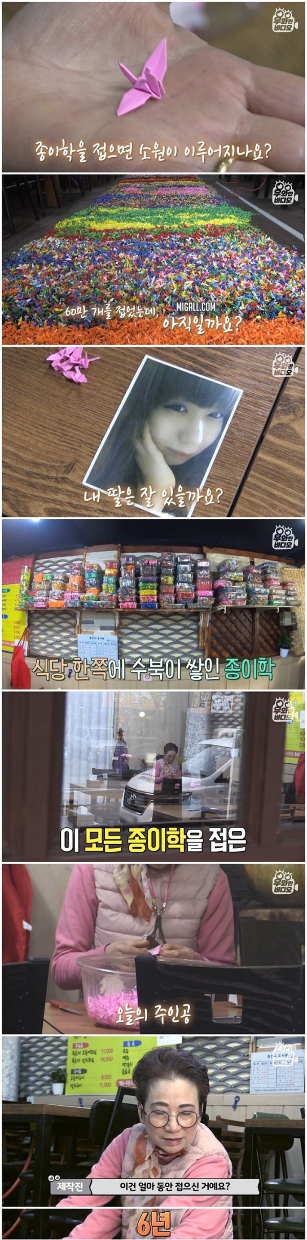 6년간 종이학 60만개 접은 어느 엄마