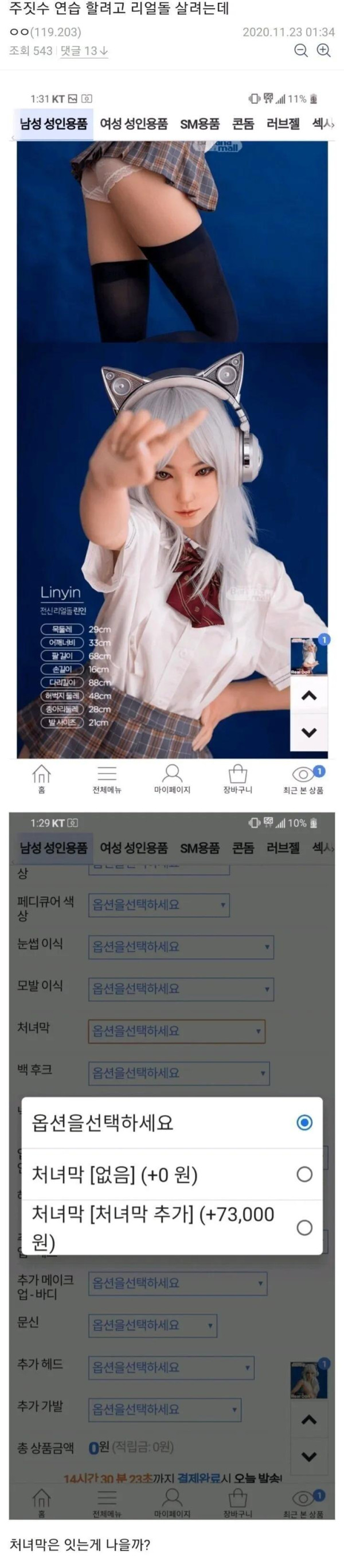 주짓수 연습 하려고 리얼돌 사려는 디시인