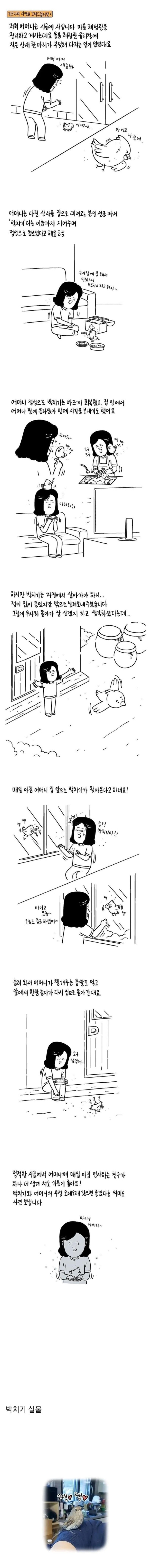땅바닥에 쓰러져있는 새를 발견한 어머니
