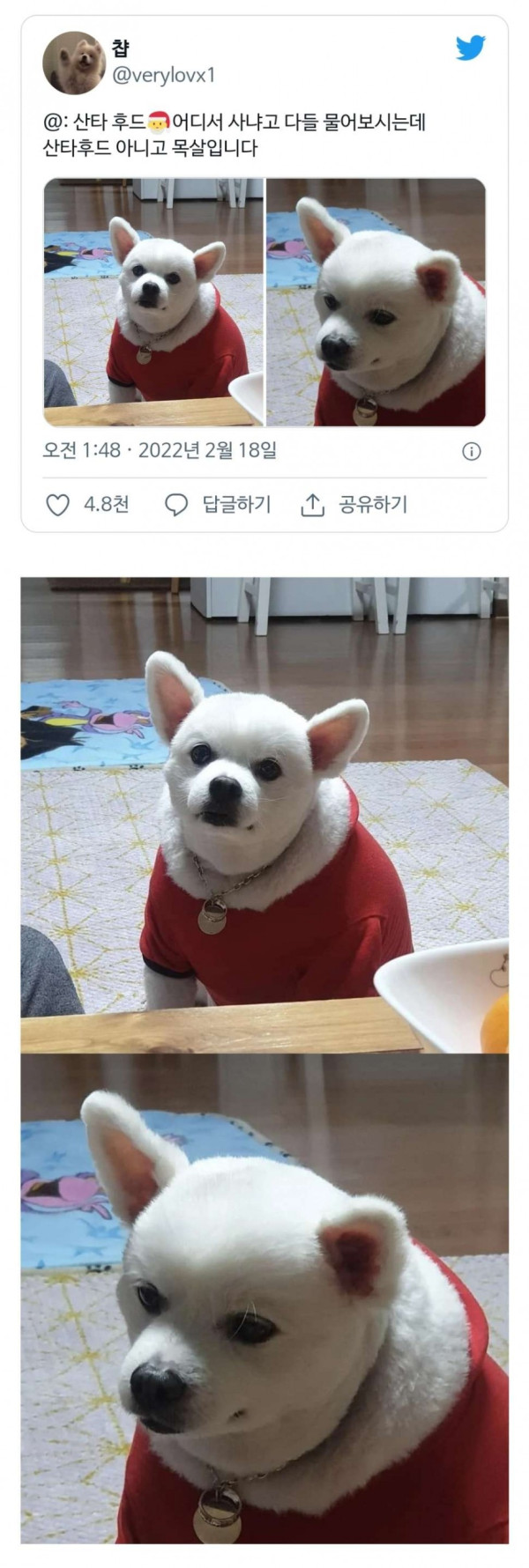 강아지 산타 후드 어디서 사셨나요??