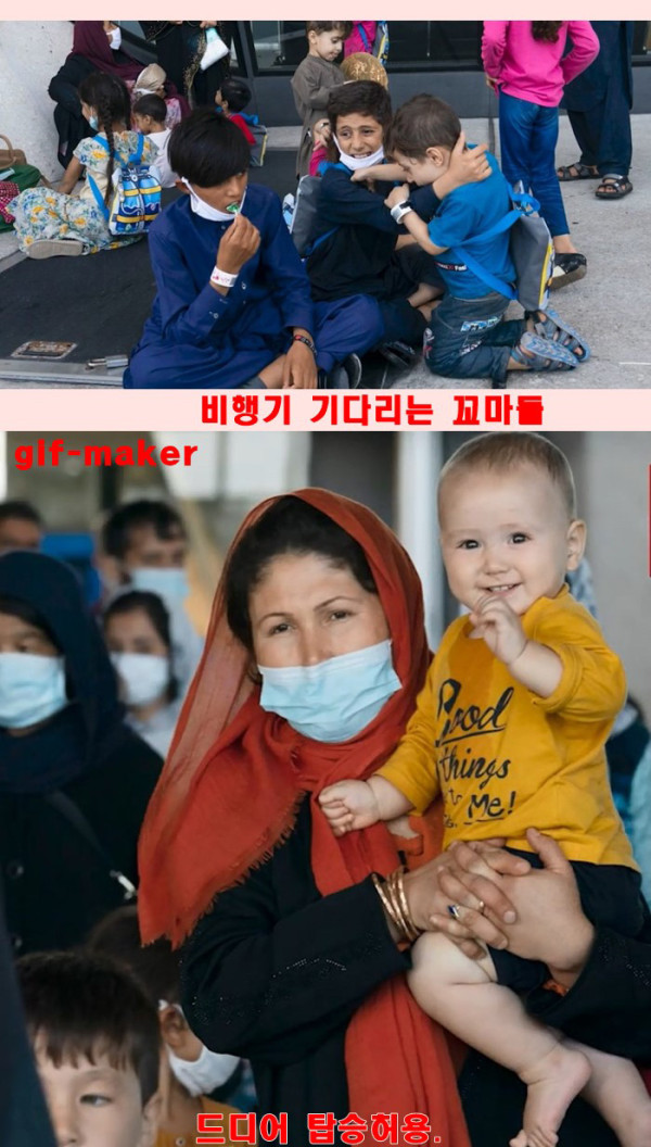 아프간 현지 한국협력자들 구출작전 사진