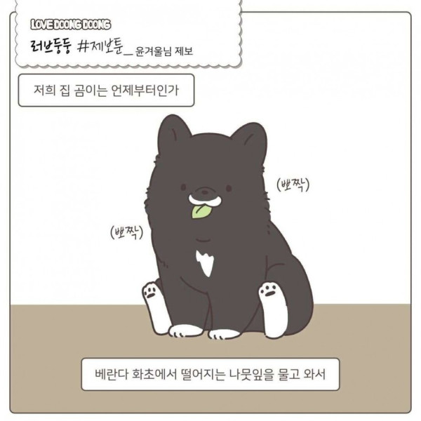 협상하자는 댕댕이
