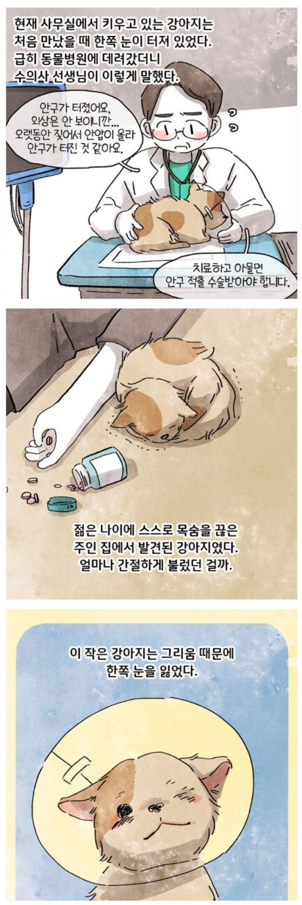 고독사 현장에 남겨진 반려견