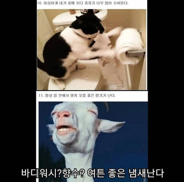 여친이랑 동거하면 생기는 일