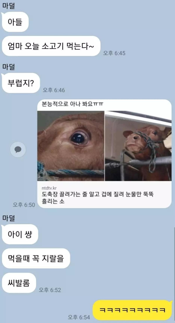 아들 엄마 오늘 소고기 먹는다