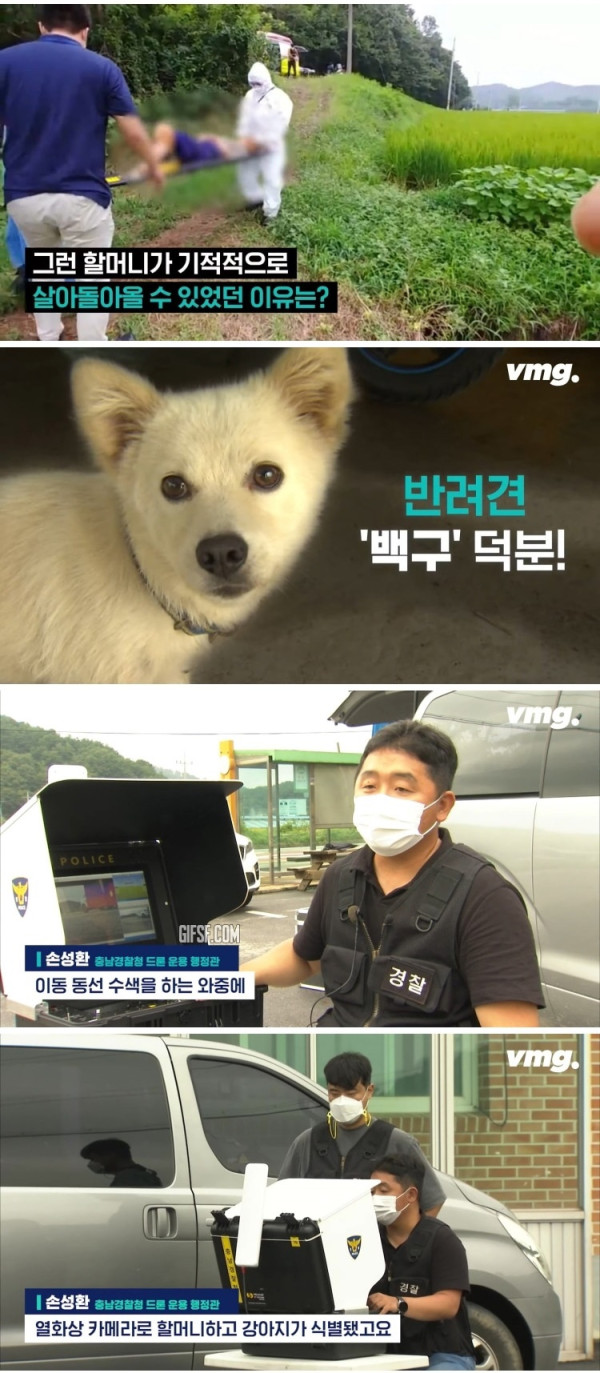 실종된 치매 할머니 구한 반려견