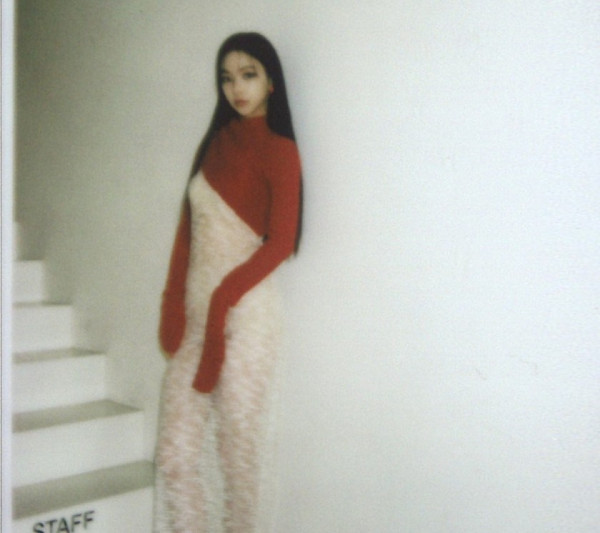 몸매 라인이 비치는 시스루 카리나