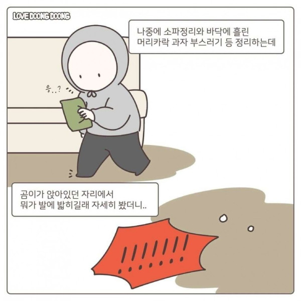 협상하자는 댕댕이